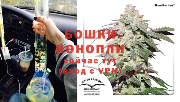 трава Березники